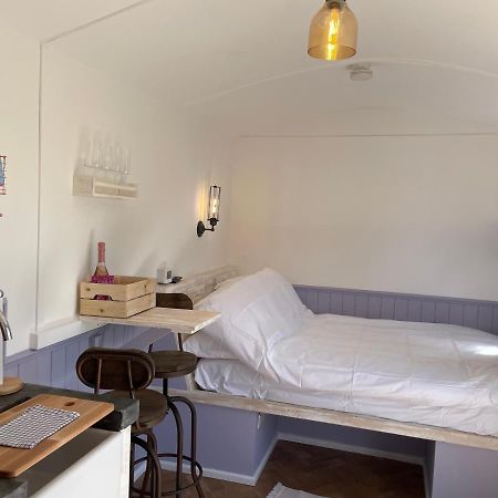 Lilac Tree Hut 텐비 외부 사진